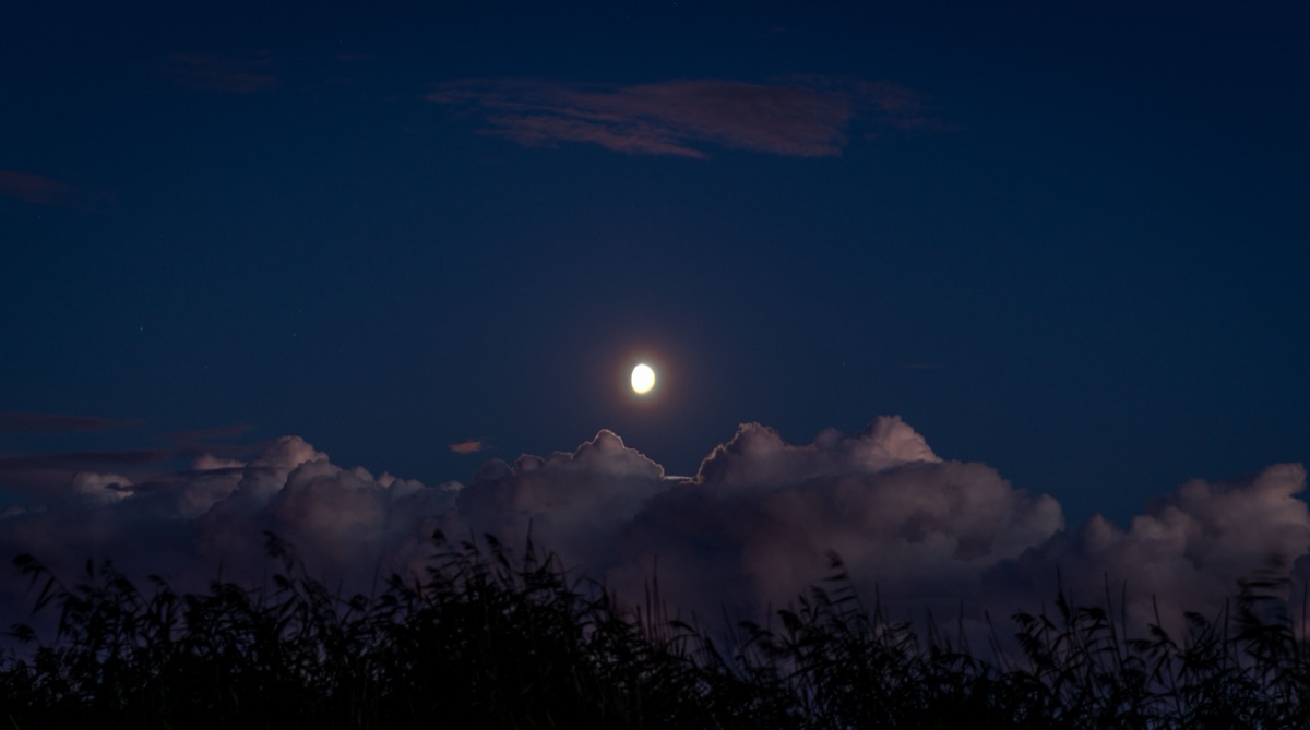 Scenic View of Night Sky